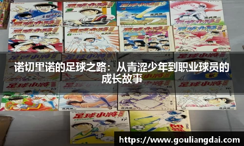 诺切里诺的足球之路：从青涩少年到职业球员的成长故事